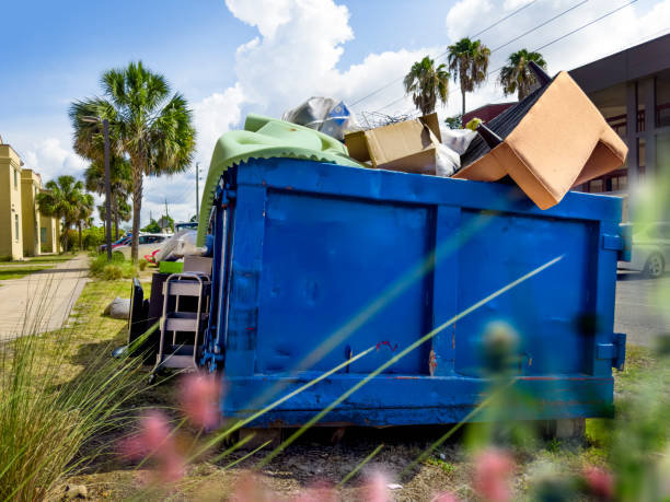 Best Carpet Removal and Disposal  in Springville, AL